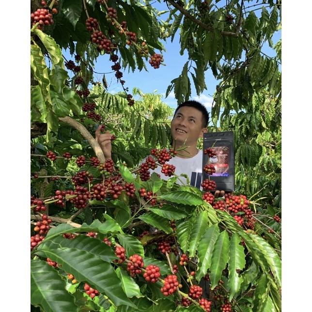 (Siêu Vocher) Cà phê Robusta vụ mùa mới - Rang mộc đậm đà chuẩn vị pha phin pha máy | BigBuy360 - bigbuy360.vn
