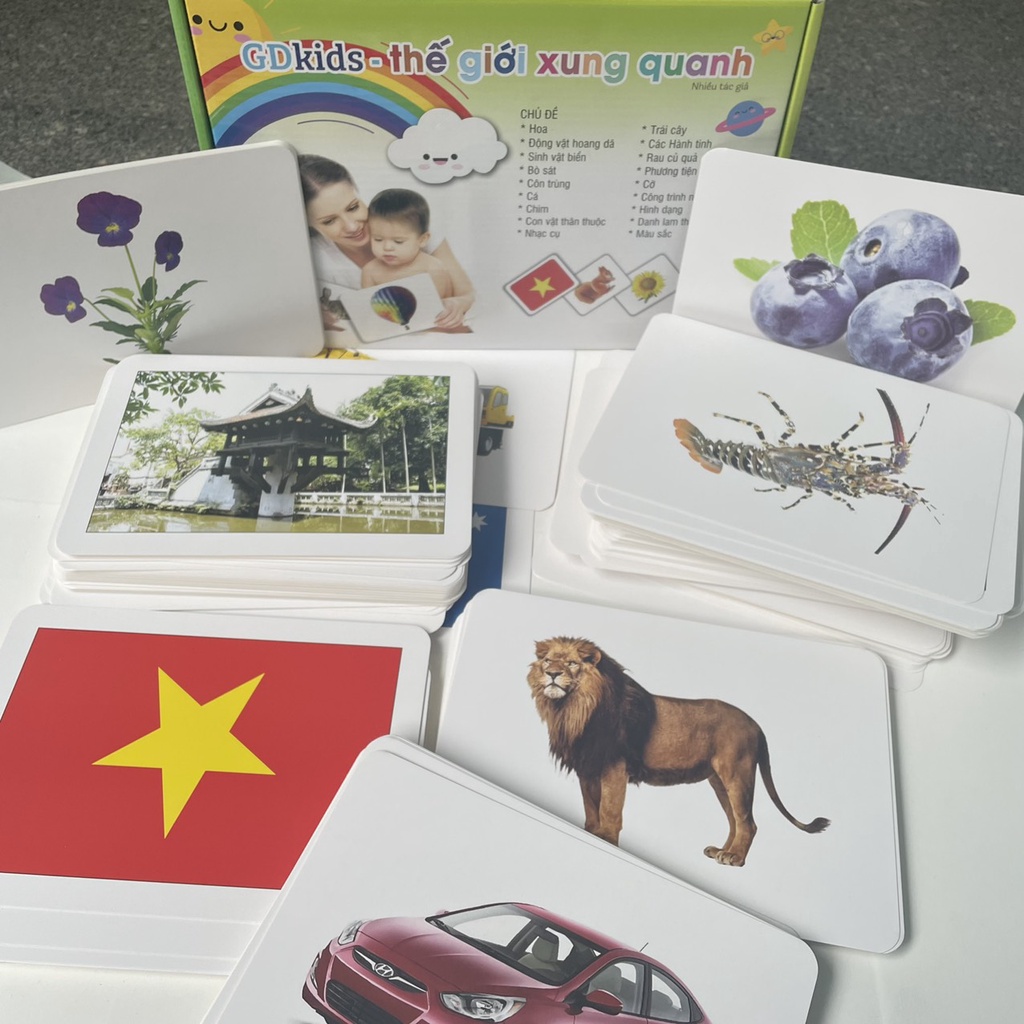 Flashcard - GDKids chuẩn Theo Phương Pháp Glenn Doman (Hộp 459 thẻ)