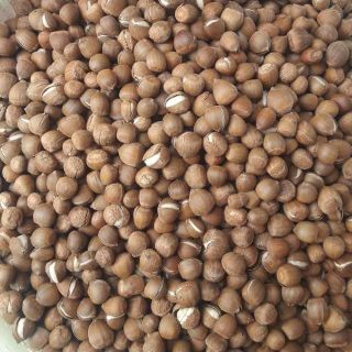 1kG HẠT DẺ RỪNG Điện BIÊN