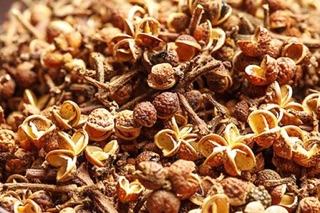 Hạt mắc khén rừng Tây Bắc gói 150g