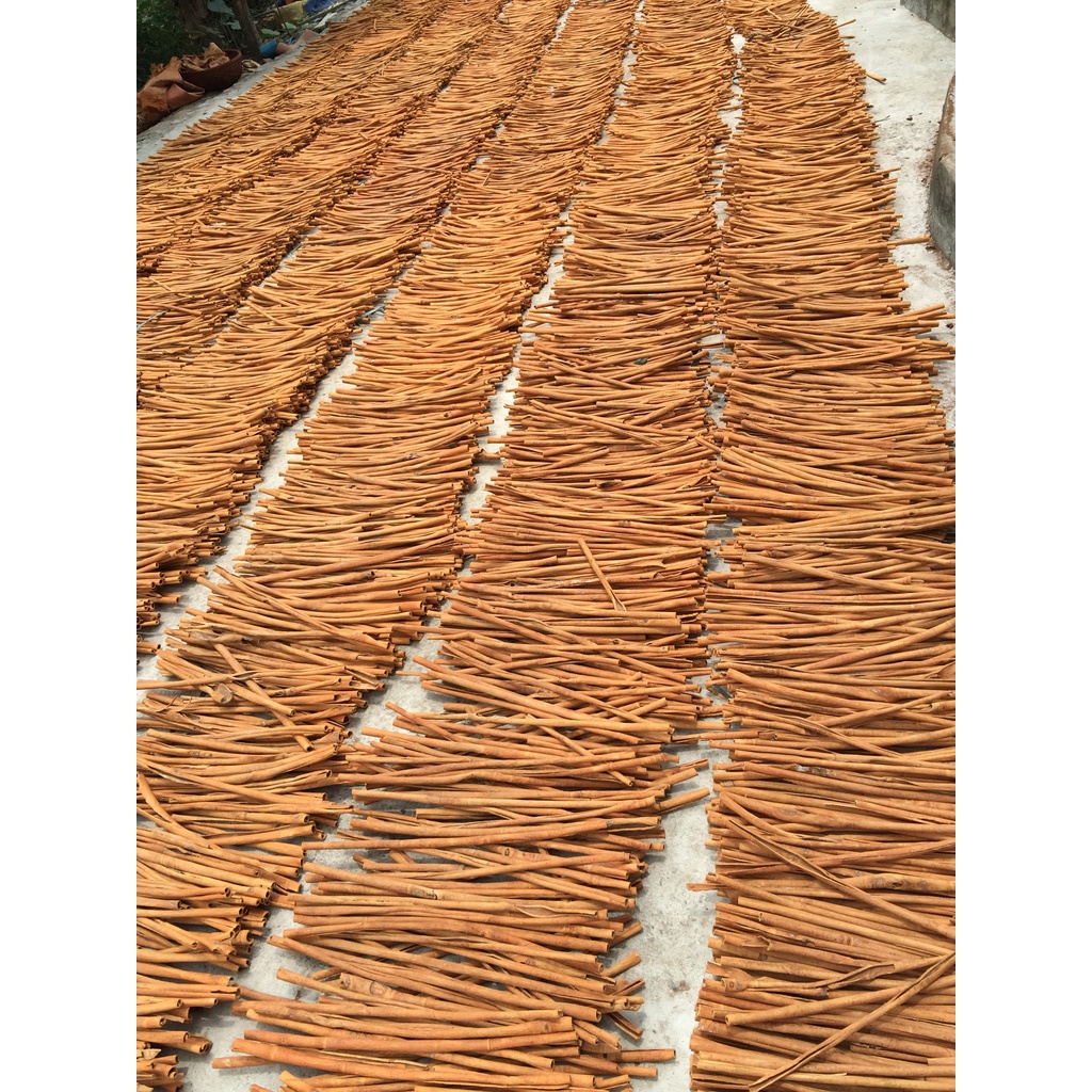 QUẾ THANH CẠO VỎ HÀNG ĐẸP XUẤT KHẨU - TÚI 1KG (nấu ăn, làm bánh, đồ uống)