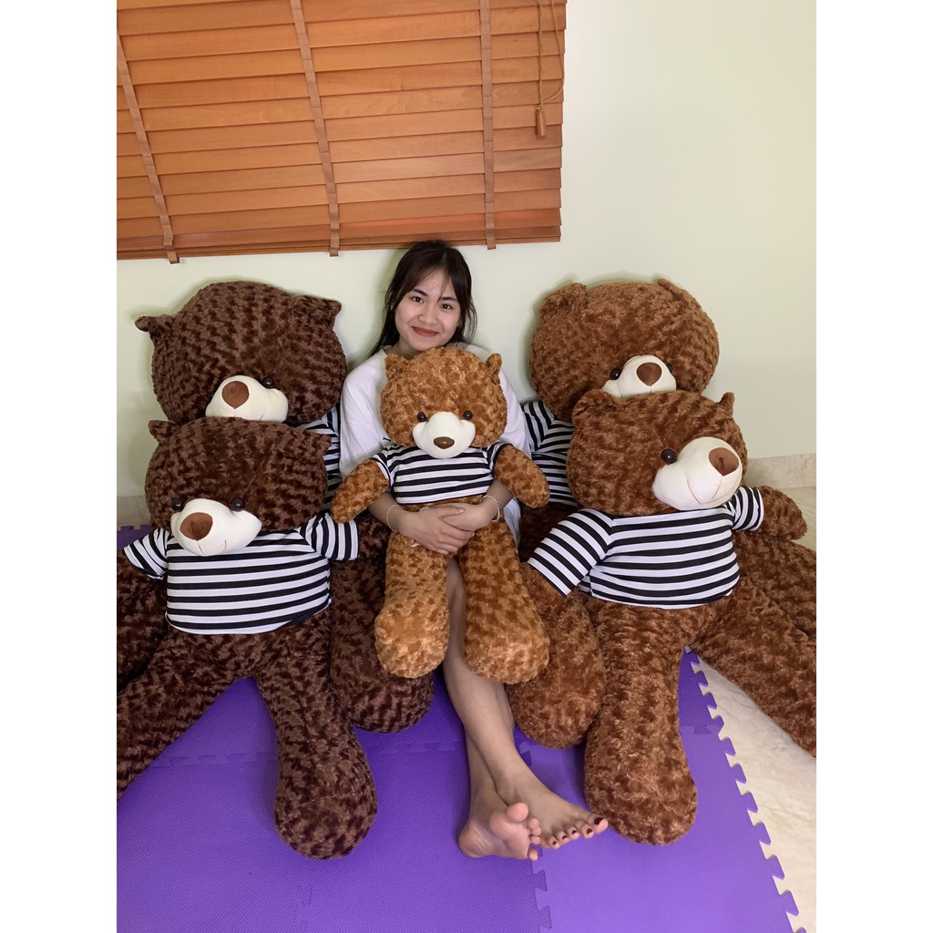 Gấu Bông Teddy Nâu Bự Khổng Lồ Siêu Đáng Yêu 0,95m-1m1-1m3 -GBTD01