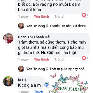 Tinh dầu bạc hà