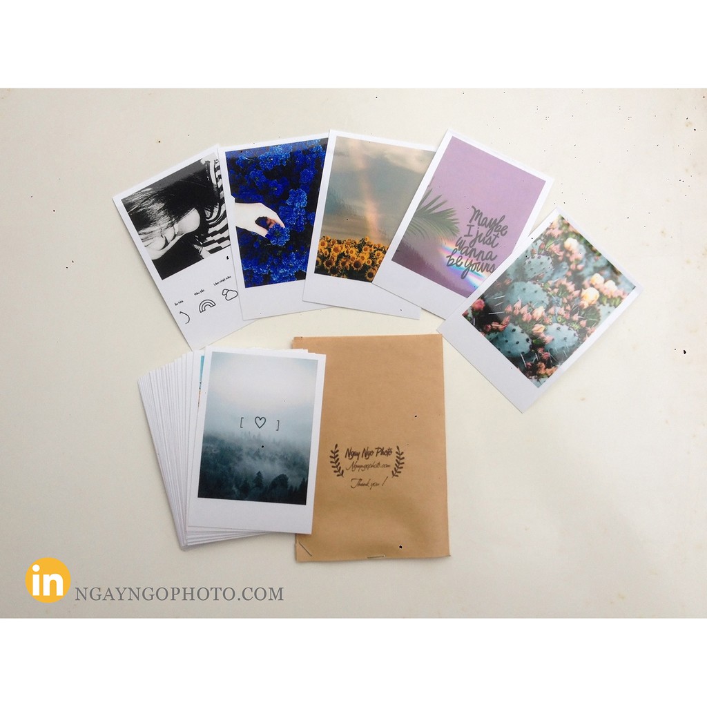 Sĩ 10 album polaroid 64 ảnh | BigBuy360 - bigbuy360.vn