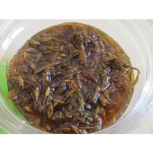 Hoa đu đủ đực tươi ngâm mật ong rừng nguyên chất