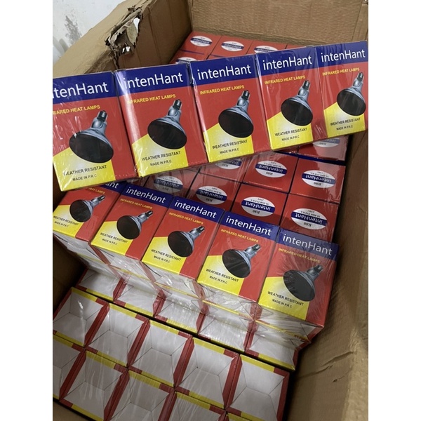 Bóng úm 45w và 75w