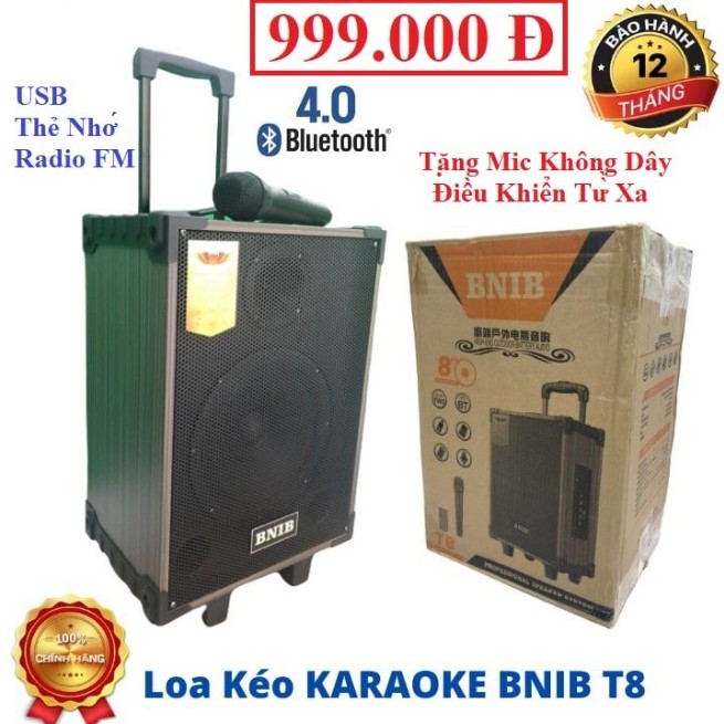 Loa Kéo BNIB T8 Bass 20CM :Tặng 2 Micro Ko Dây - Điều Khiển - Sạc . Có : Bluetooth , USB, Thẻ Nhớ, AV, Đài FM