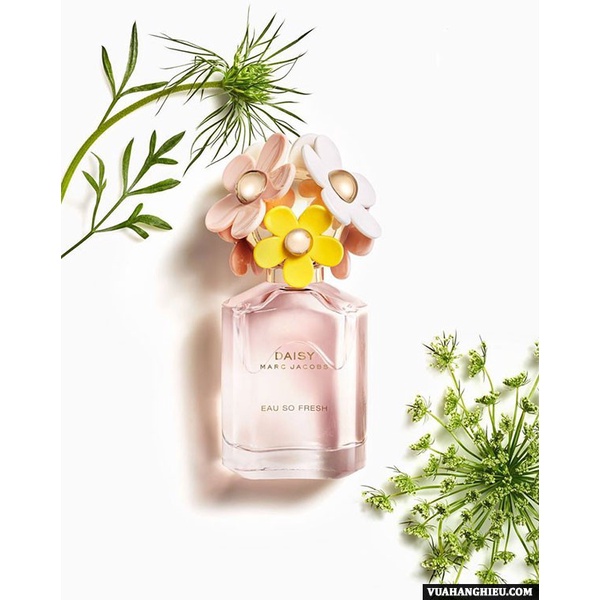 Mẫu thử nước hoa Daisy Eau So Fresh Marc Jacobs 5ml 10ml 20ml