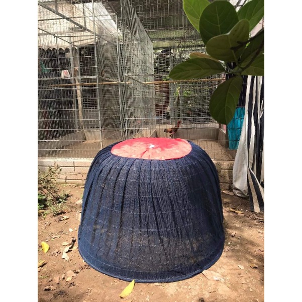Màn phủ lồng gà chống gió, muỗi.