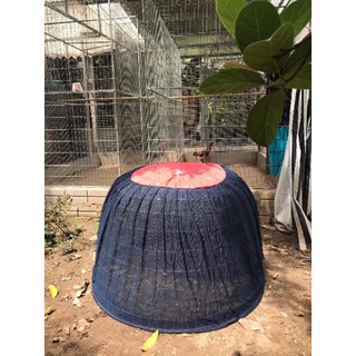 Màn phủ lồng gà chống gió, muỗi.