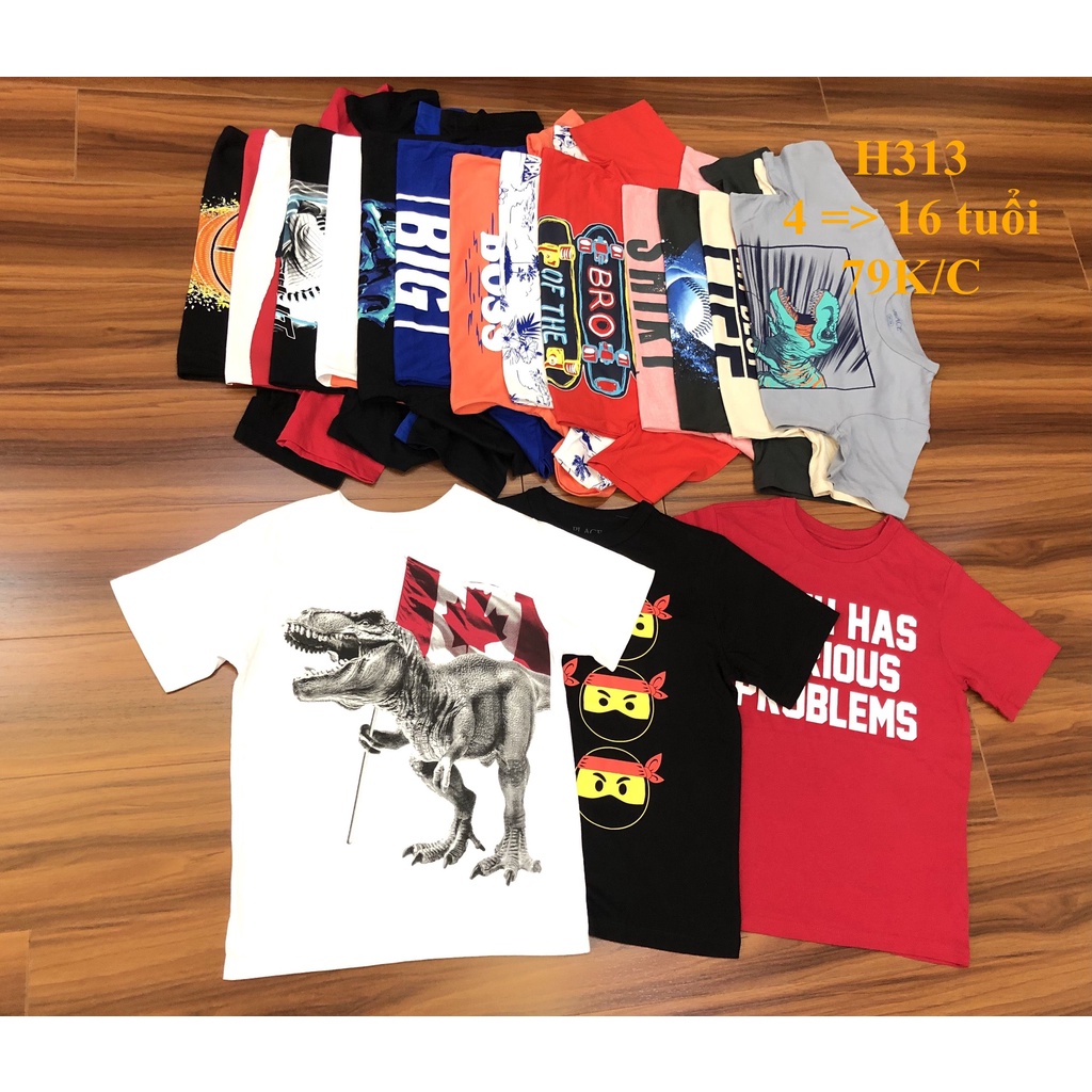 * Mã H313:  Áo bé trai cotton hàng VNXK dư xịn. Chất cotton mềm, thấm hút mồ hôi BC 9373