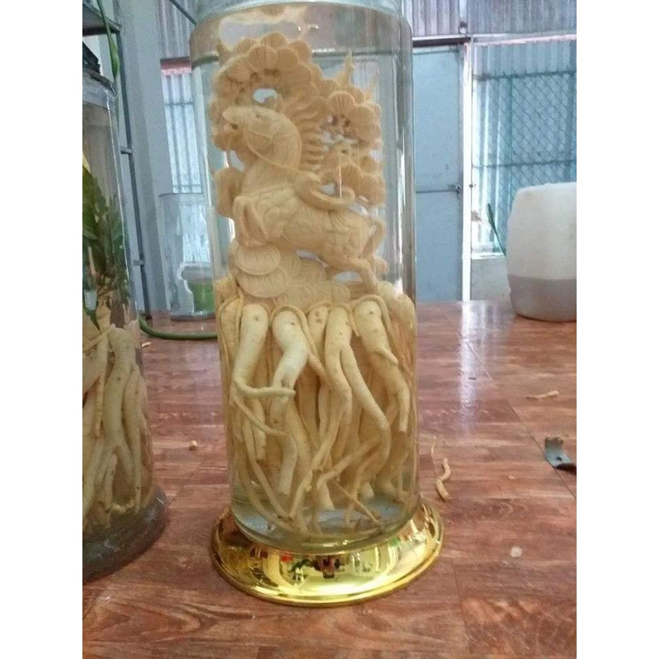 Củ đinh lăng điêu khắc - Hình tùy chọn