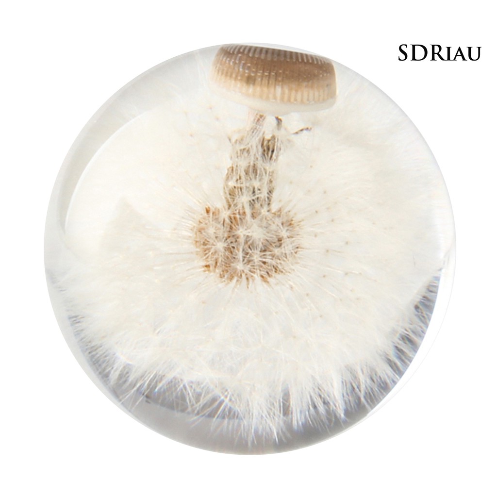 Tay Nắm Cần Số Xe Hơi Hình Hoa Bồ Công Anh Độc Đáo