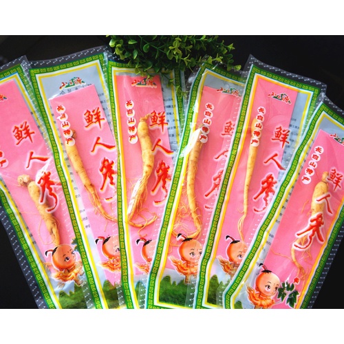 Nhân sâm tươi núi Trường Bạch 100gr/củ hút chân không