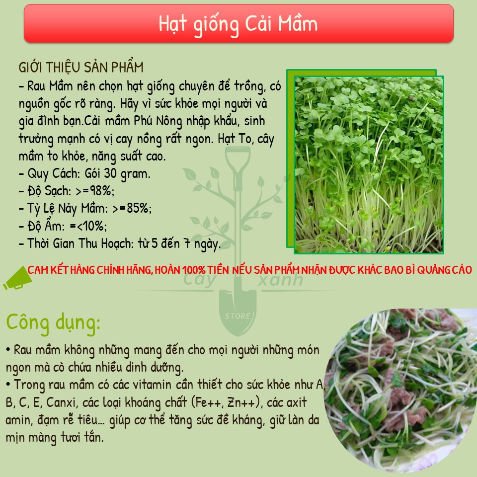 Hạt Giống Rau Mầm Cải Ngọt 30Gr Giàu Dinh Dưỡng - Phú Nông Seeds - Key: Đất sạch, Phân Bón, Hữu Cơ, Xơ Dừa