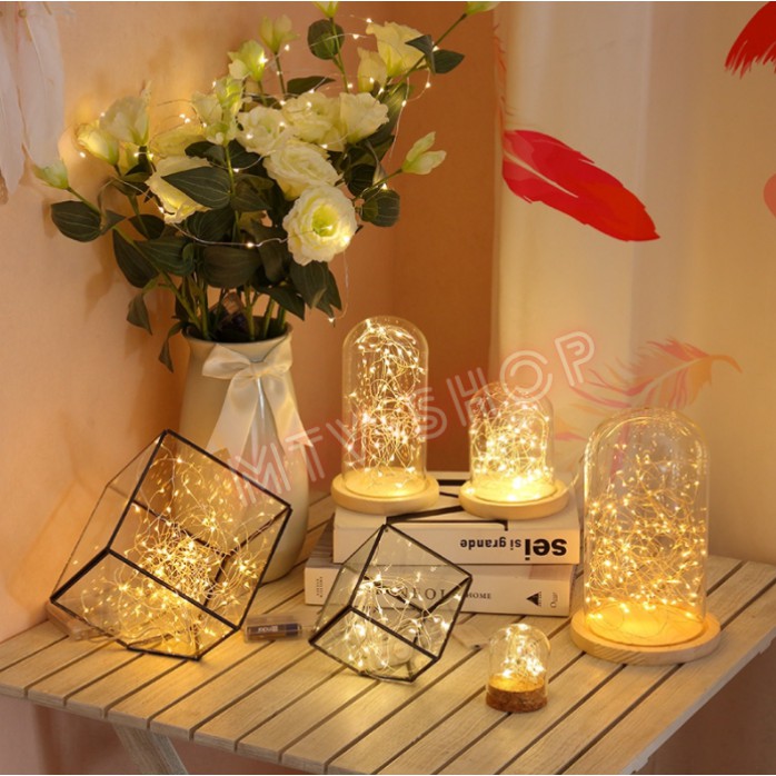 Dây đèn led đom đóm FAIRYLIGHT, cổng USB 5V, đèn trang trí giáng sinh, Led MTV decor phòng ngủ, đủ màu, dài 5m/10m