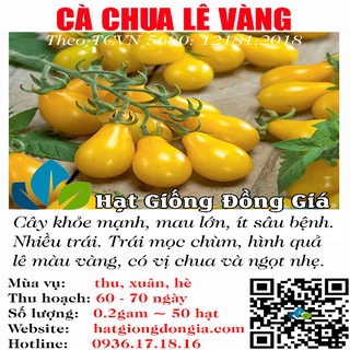 0,2gram hạt giống cà chua lê vàng - cà chua bi mini siêu đẹp