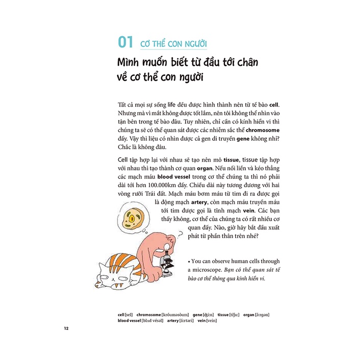 Sách - Tôi muốn giỏi tiếng Anh nhưng tôi không muốn chăm chỉ