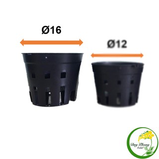 Chậu nhựa trồng Lan - Phi 16