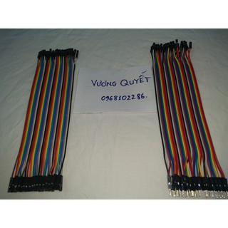 Dây Bus đực cái 20cm