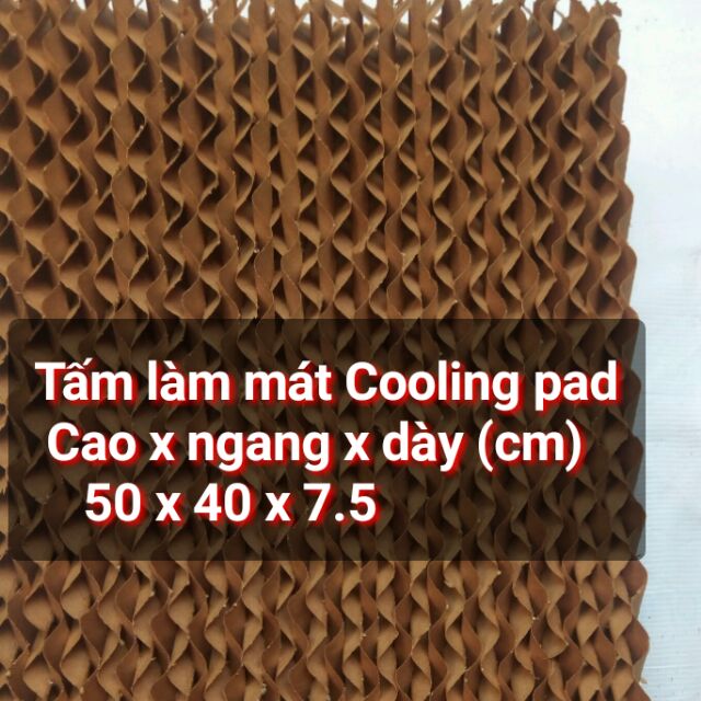 Combo 2 Tấm làm mát Cooling pad 50*40*7.5 cm
