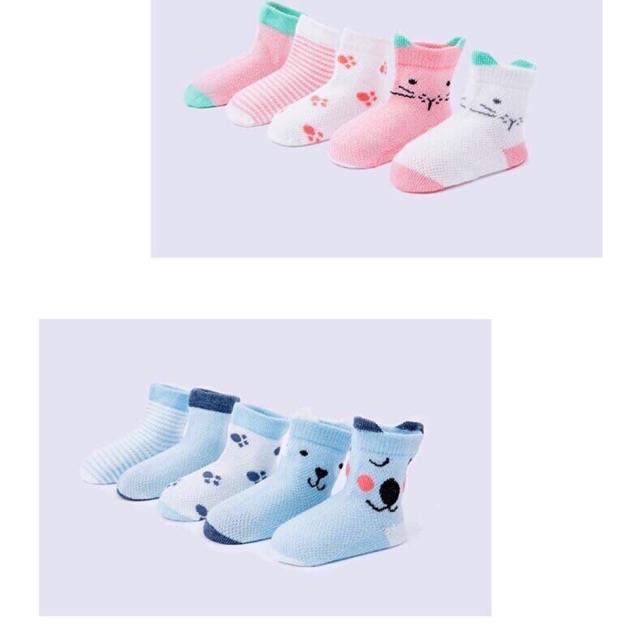Combo tất lưới bé trai