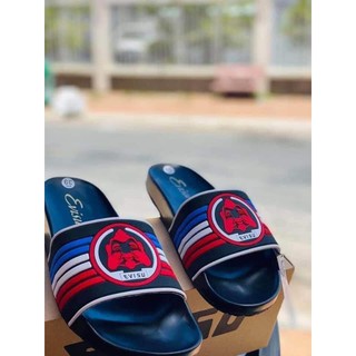 Dép evisu Mẫu Đang hot