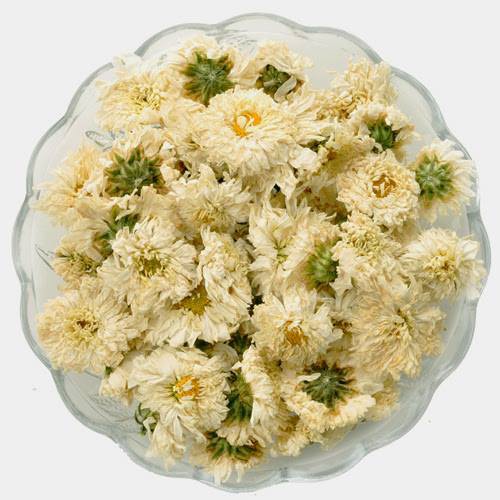 TRÀ HOA CÚC FLORIST