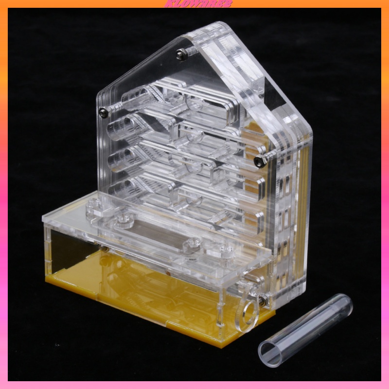 Hộp Nuôi Kiến Bằng Acrylic Trong Suốt Cho Nông Trại
