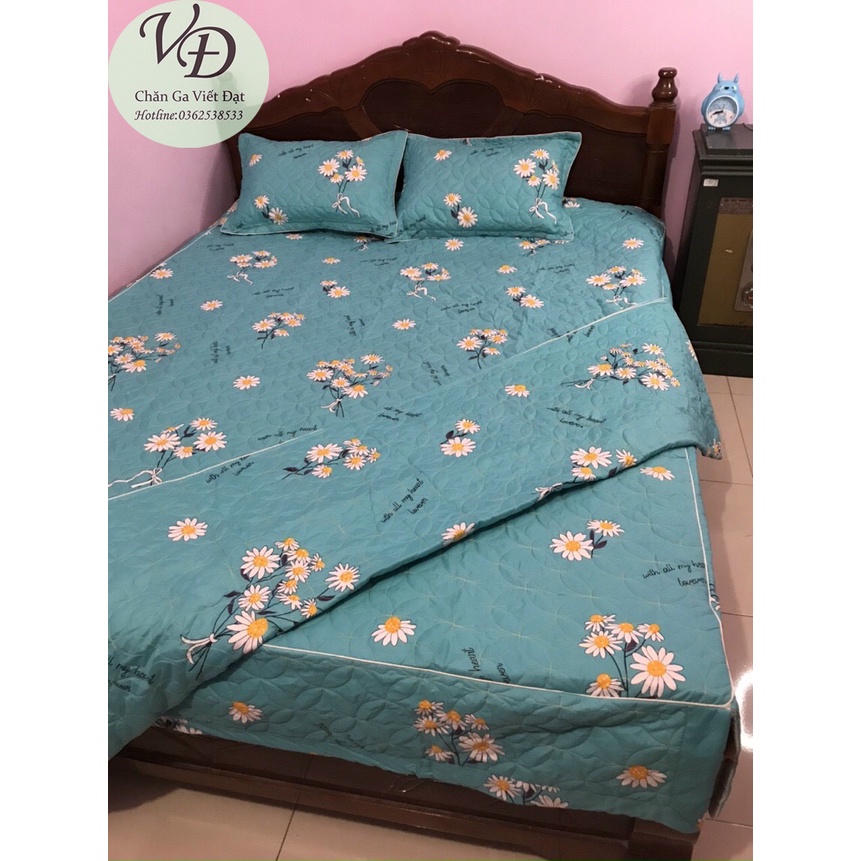 Bộ Ga + 2 Vỏ Gối Phủ 4 Góc Trần Bông Dày Dặn - Kích Thước : 1,6m x 2m