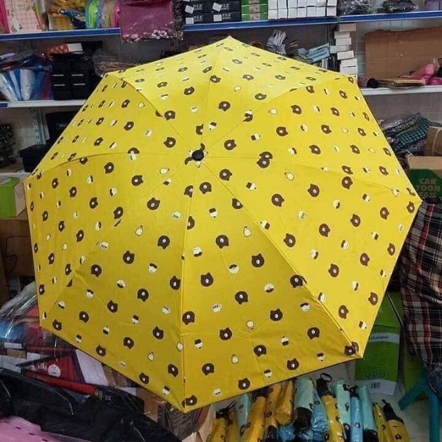 Dù gấp gọn gấu