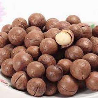 [500g] Hạt macca nứt vỏ - (Có tặng dụng cụ tách vỏ) - Hạt to, đều - Chất lượng chuẩn macca Úc