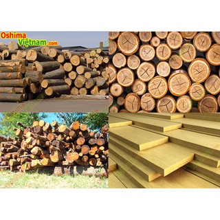Máy cưa xích Oshima 5900