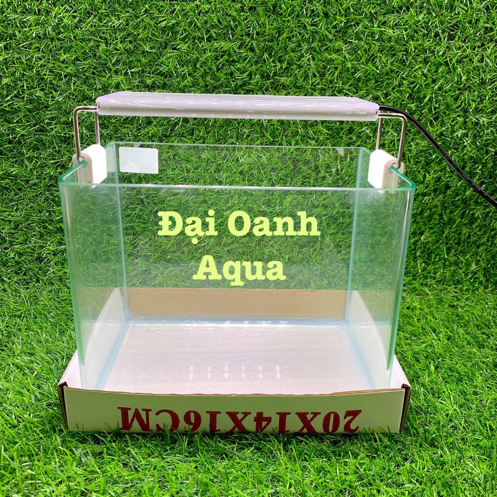 Bộ Bể Cá Kính Đúc 20cm Mini Để Bàn - Bể Cá Cảnh Mini