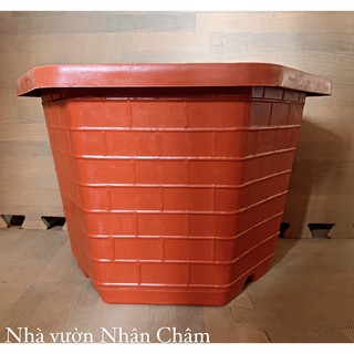 [ Rẻ vô địch ] Chậu nhựa FA350