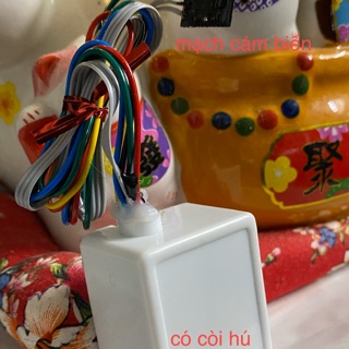 công tắc phụ xuyên nhựa có còi hú chống trộm