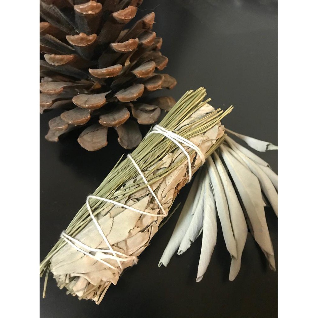 BẢO VỆ NĂNG LƯỢNG BẢN THÂN - Xô thơm trắng &amp; Thông (White sage &amp; Pine)_SAGE GARDEN
