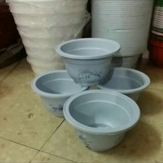 Chậu đường kính 20cm cao 12cm