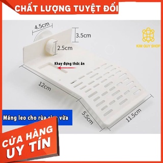 Máng leo cho rùa nước