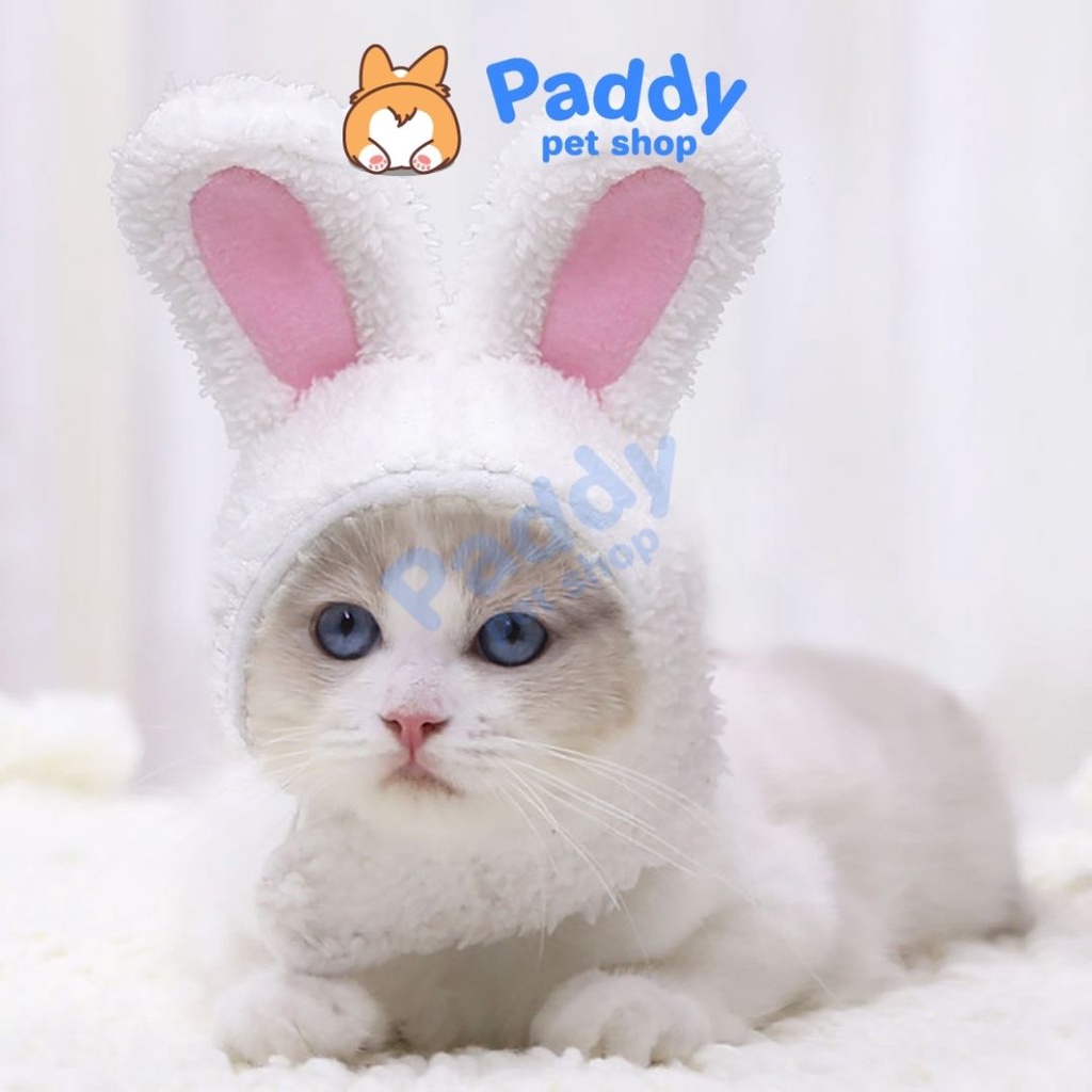 [Mã 153FMCGSALE1 giảm 10% tối đa 40K đơn 250K] Nón Tai Thỏ Bông Cho Chó Mèo