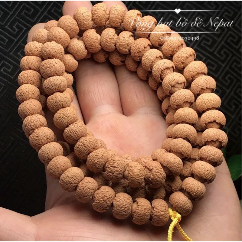 Tuyết Liên Hoa Bồ Đề