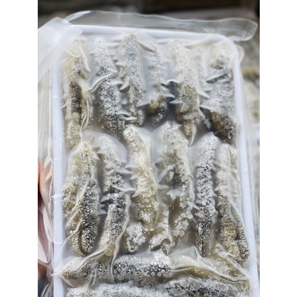 Hải Sâm gai  - Giá sỉ rẻ nhất