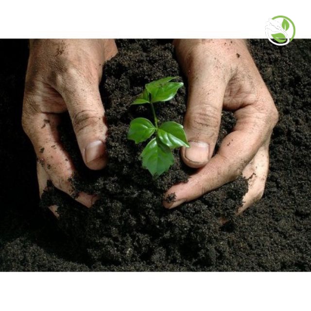 Đất Trồng Hữu Cơ H6 Hapi Green - Bao 5 dm3 ~2kg