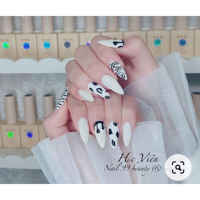 Nailbox thiết kế ( tặng kèm keo + dũa )