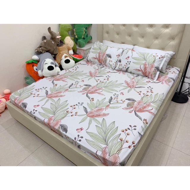 Bộ Ga Gối Cotton Poly - Hoa Bằng Lăng