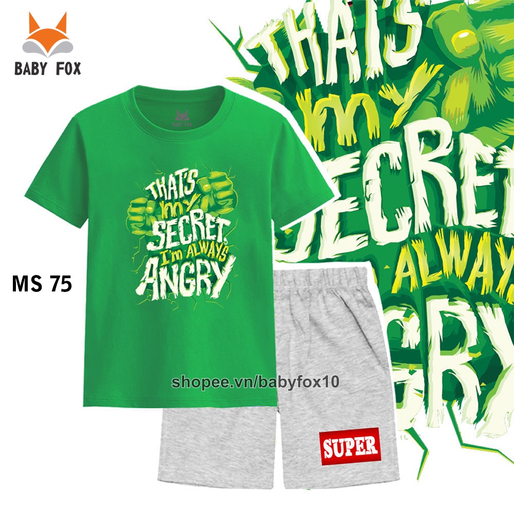 Bộ thun bé trai 100% cotton loại tốt, thương hiệu BABY FOX, hình siêu anh hùng, người sắt h