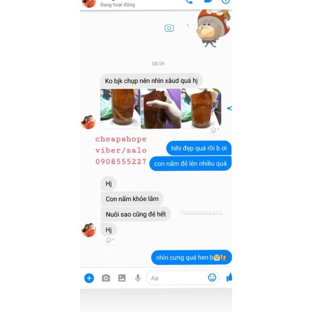 NẤM THỦY SÂM KOMBUCHA (SIZE NHỎ)+ TẶNG KÈM NƯỚC CỐT NGUYÊN CHẤT XỊN XÒ, NẤM KHỎE CHẤT LƯỢNG, | BigBuy360 - bigbuy360.vn