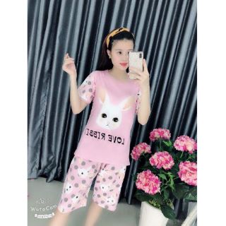 Đồ bộ thun quảng châu