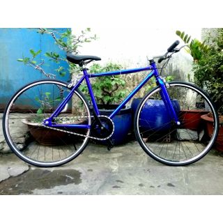 XE FIXED MẪU MỚI 2019