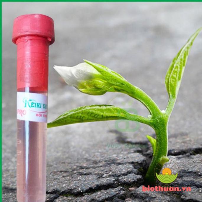 THuốc kích mầm, kích chồi keiki duy pro - loại bôi trực tiếp